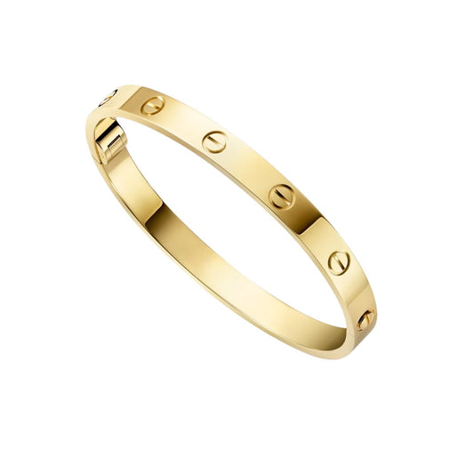 [Legend]CLASSIC 6.1MM LOVE SINGLE-SCREW CLOSURE BANGLE